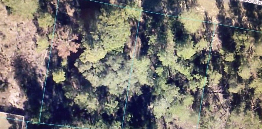 Land in Ocala, Florida № 2390967