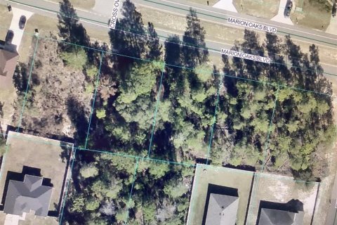 Land in Ocala, Florida № 2390967 - photo 2