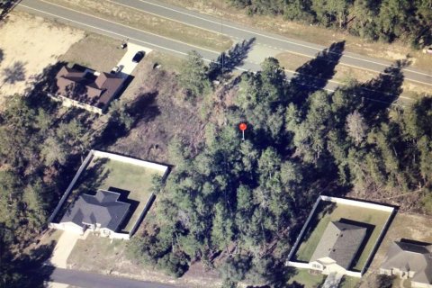 Land in Ocala, Florida № 2390967 - photo 5