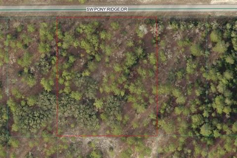 Land in Dunnellon, Florida № 2202420