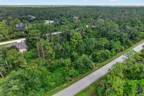 Land in Port Charlotte, Florida № 2277510