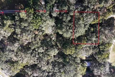 Land in Lady Lake, Florida № 2100193 - photo 4
