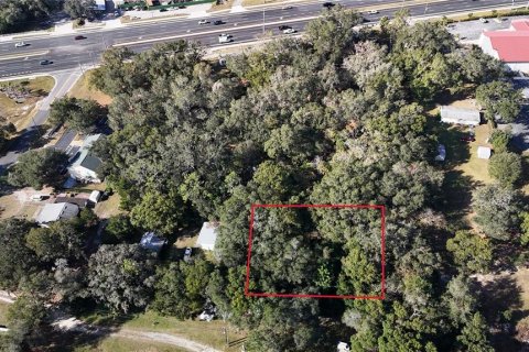 Land in Lady Lake, Florida № 2100193 - photo 3