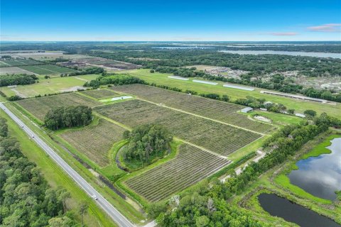 Commercial property in Mount Dora, Florida 204.38 sq.m. № 2212448 - photo 30