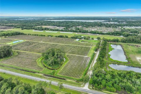 Commercial property in Mount Dora, Florida 204.38 sq.m. № 2212448 - photo 29