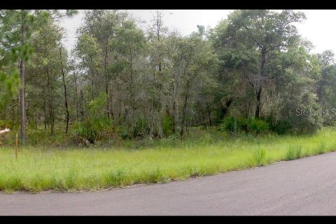 Land in Dunnellon, Florida № 2229067