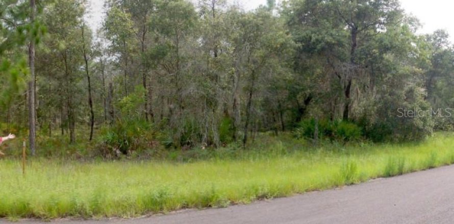 Land in Dunnellon, Florida № 2229067