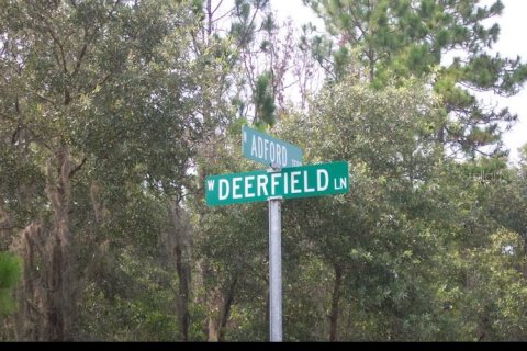 Land in Dunnellon, Florida № 2229067 - photo 2
