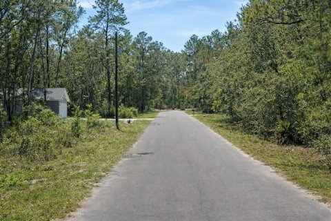 Land in Ocklawaha, Florida № 2159323 - photo 3