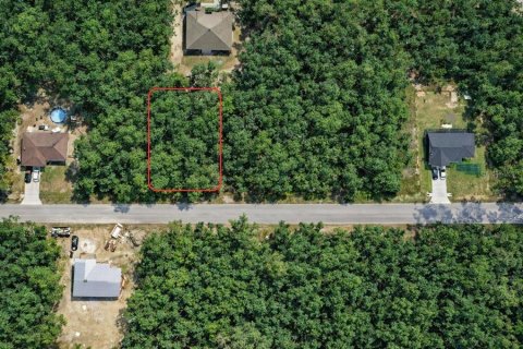 Land in Ocklawaha, Florida № 2159323