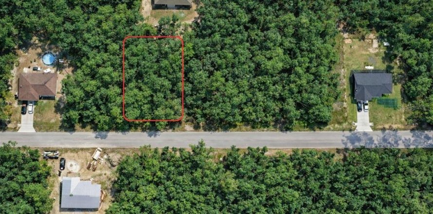 Land in Ocklawaha, Florida № 2159323