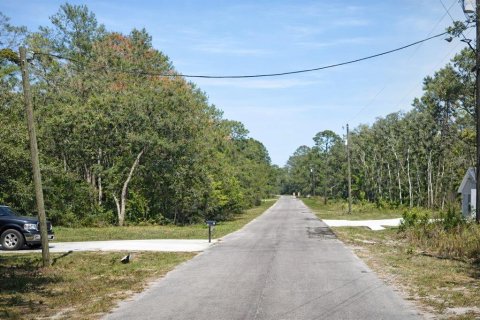 Land in Ocklawaha, Florida № 2159323 - photo 4