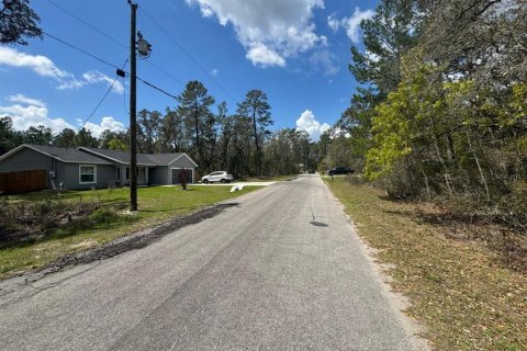 Land in Ocklawaha, Florida № 2159323 - photo 2