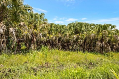 Land in Homestead, Florida № 618162 - photo 1