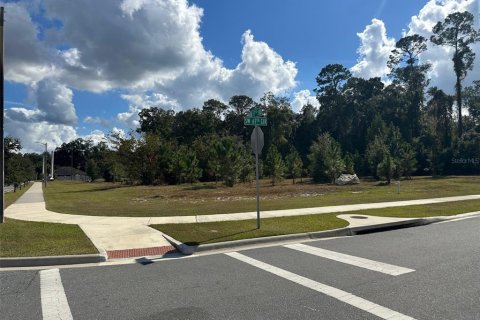 Land in Gainesville, Florida № 840150 - photo 5