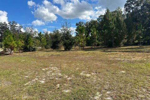 Land in Gainesville, Florida № 840150 - photo 3