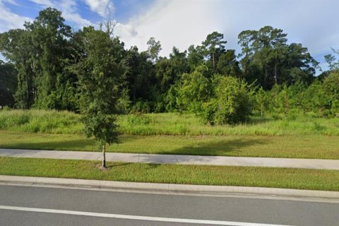 Land in Gainesville, Florida № 840150 - photo 2