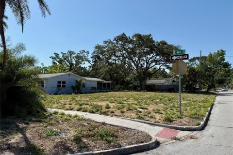 Terreno en venta en Saint Petersburg, Florida № 1717197 - foto 5