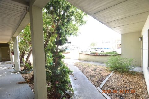 Appartement à louer à Tampa, Floride: 1 chambre, 51.1 m2 № 2405633 - photo 5