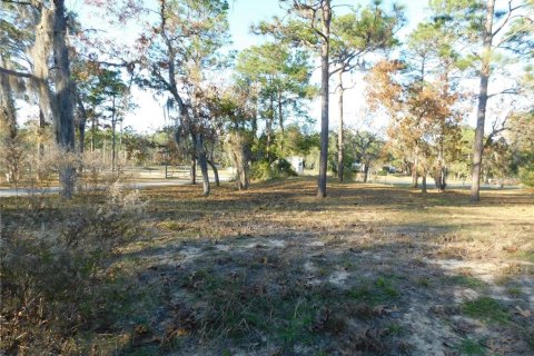 Land in Inverness, Florida № 2102131 - photo 10