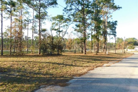 Land in Inverness, Florida № 2102131 - photo 2