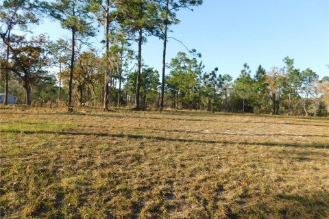 Land in Inverness, Florida № 2102131 - photo 6