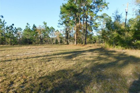 Land in Inverness, Florida № 2102131 - photo 7