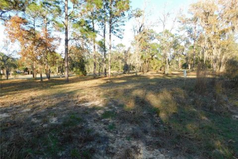 Land in Inverness, Florida № 2102131 - photo 9