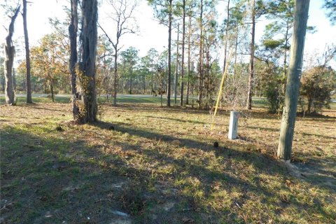 Land in Inverness, Florida № 2102131 - photo 11