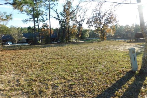 Land in Inverness, Florida № 2102131 - photo 5