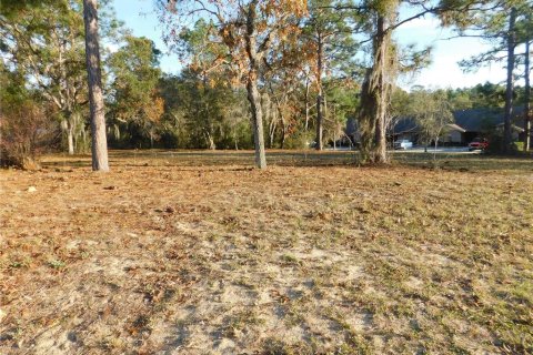 Land in Inverness, Florida № 2102131 - photo 4