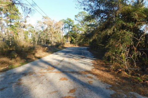 Land in Inverness, Florida № 2102131