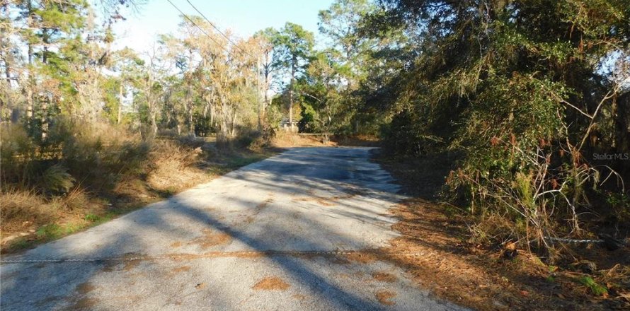 Land in Inverness, Florida № 2102131