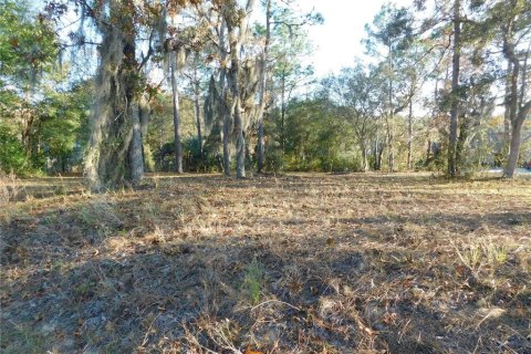 Land in Inverness, Florida № 2102131 - photo 3