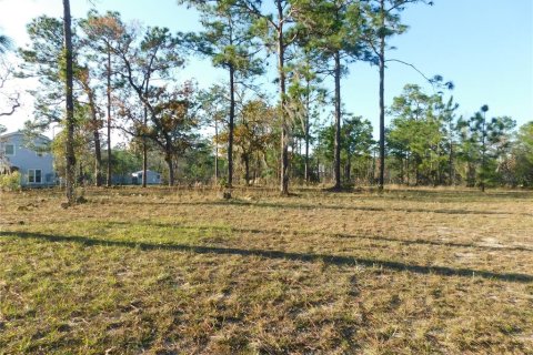 Land in Inverness, Florida № 2102131 - photo 8