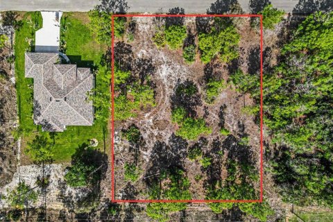 Land in Lehigh Acres, Florida № 2226568 - photo 5