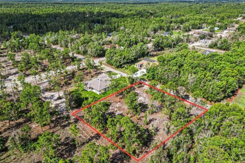Land in Lehigh Acres, Florida № 2226568 - photo 3