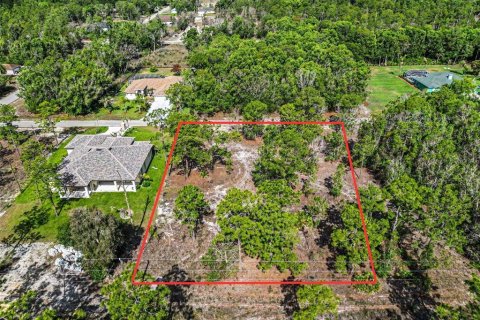 Land in Lehigh Acres, Florida № 2226568 - photo 2
