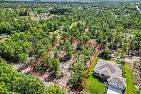 Land in Lehigh Acres, Florida № 2226568