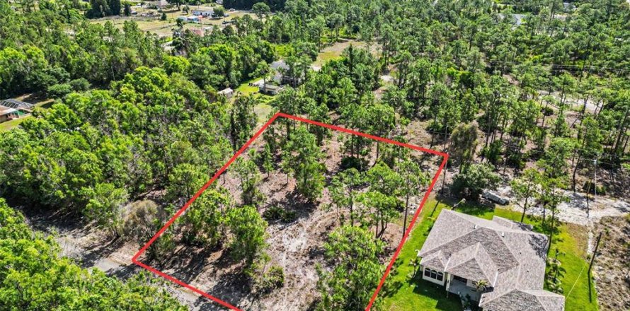 Land in Lehigh Acres, Florida № 2226568