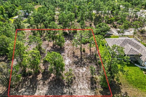 Land in Lehigh Acres, Florida № 2226568 - photo 4