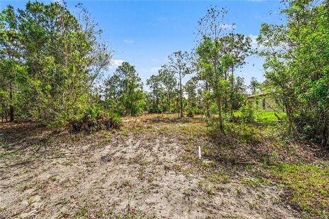 Land in Lehigh Acres, Florida № 2226568 - photo 6