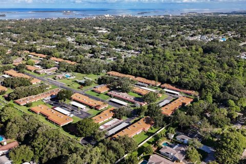 Condo in Dunedin, Florida, 1 bedroom  № 1886882 - photo 26
