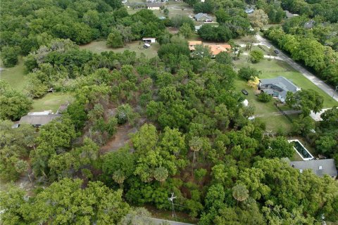 Land in Mount Dora, Florida № 1673287 - photo 5