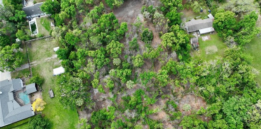 Land in Mount Dora, Florida № 1673287
