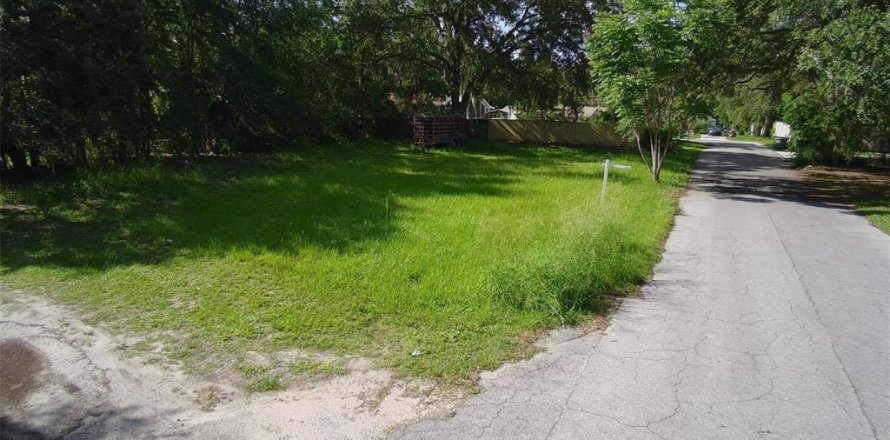 Land in Leesburg, Florida № 1798418