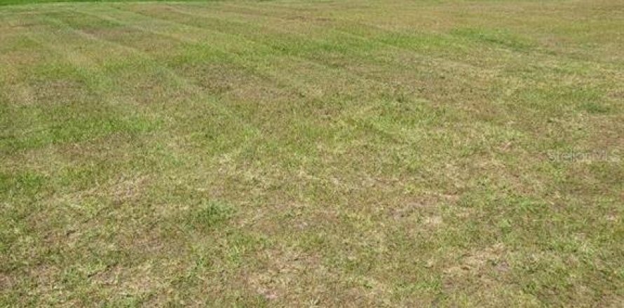 Terreno en Longwood, Florida № 755522