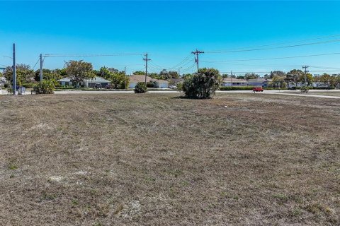 Land in Cape Coral, Florida № 2099180 - photo 17