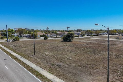Land in Cape Coral, Florida № 2099180 - photo 16