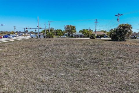 Land in Cape Coral, Florida № 2099180 - photo 14